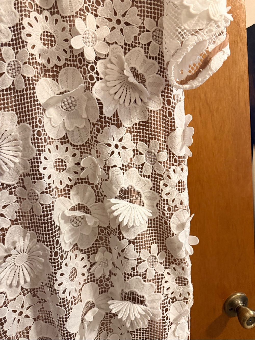 Buddy Love White Floral Crochet Maxi Dress - Picture 6 of 9